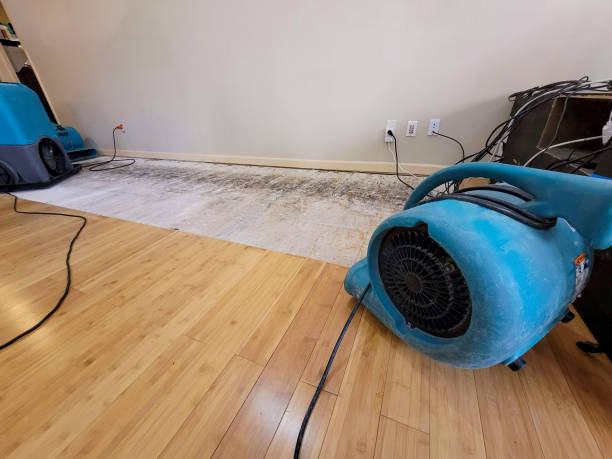 Professional Basement Flood Cleanup technician working in Walhalla, SC
